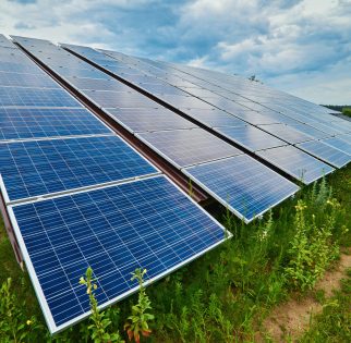 The solar panel generates green electricity Solar panel produces green, environmentally friendly energy from the sun.
